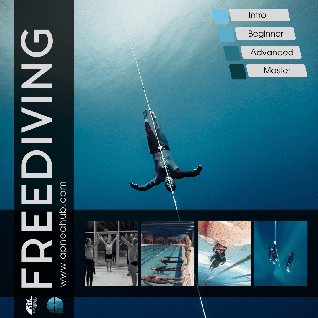 Freediving course